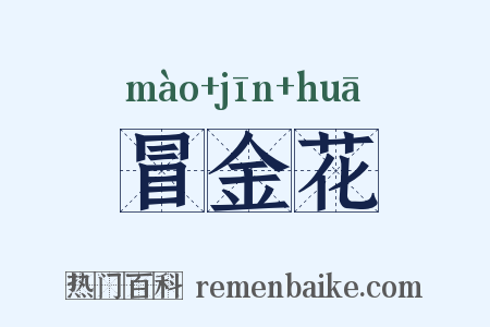 冒金花是什么意思的图片